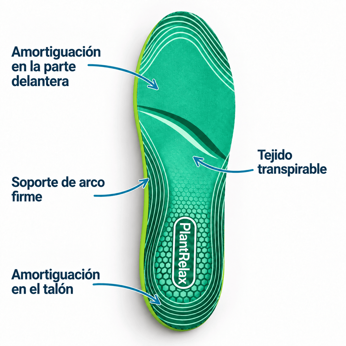 Plantilla de soporte
