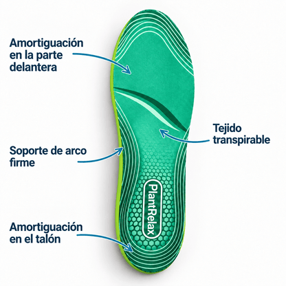 Plantilla de soporte